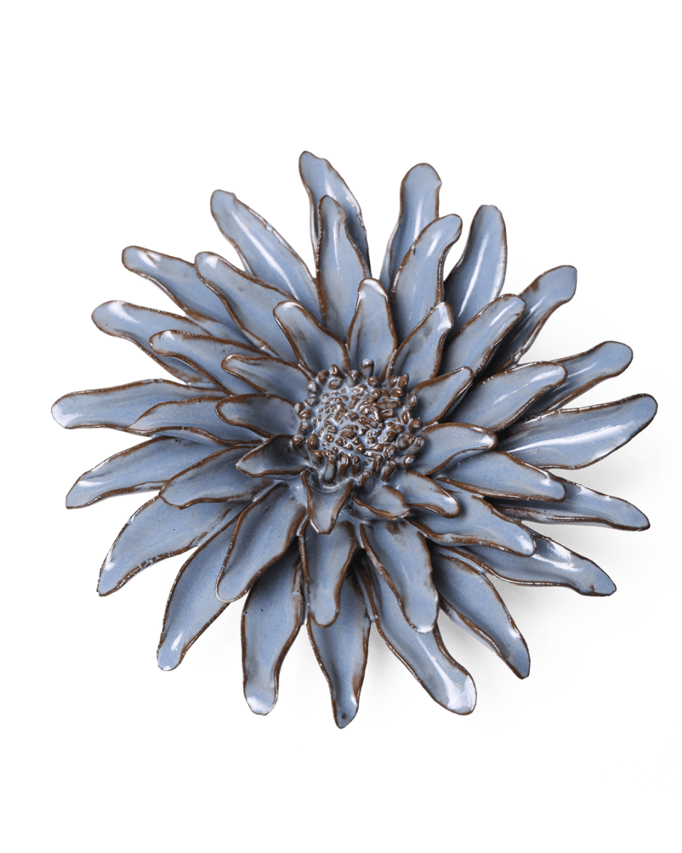 JA14 Blue Grey Gerbera Daisy - Chive UK Wholesale