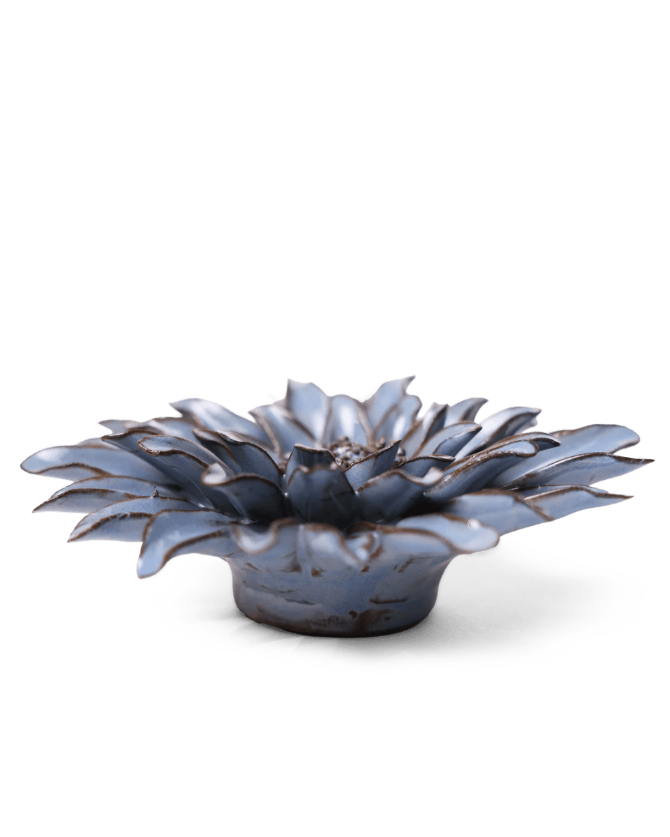JA14 Blue Grey Gerbera Daisy - Chive UK Wholesale
