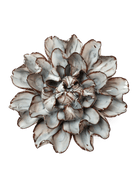JA15 Chocolate Mint Echo Lisianthus - Chive UK Wholesale