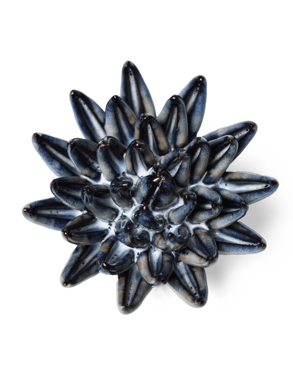 JA16 Navy Blue Chalksticks Succulent - Chive UK Wholesale