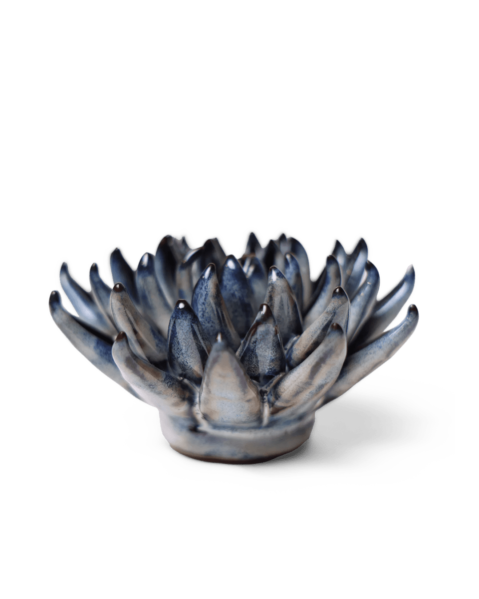 JA16 Navy Blue Chalksticks Succulent - Chive UK Wholesale