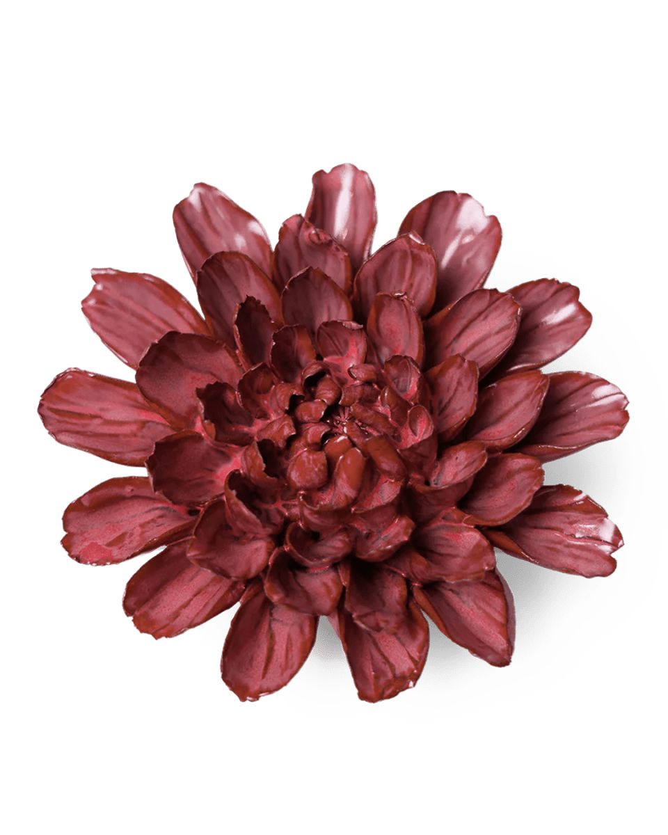 JA17 Blush Pink Star Dahlia - Chive UK Wholesale