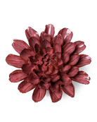 JA17 Blush Pink Star Dahlia - Chive UK Wholesale