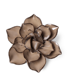 JA18 Latte Daffodil - Chive UK Wholesale