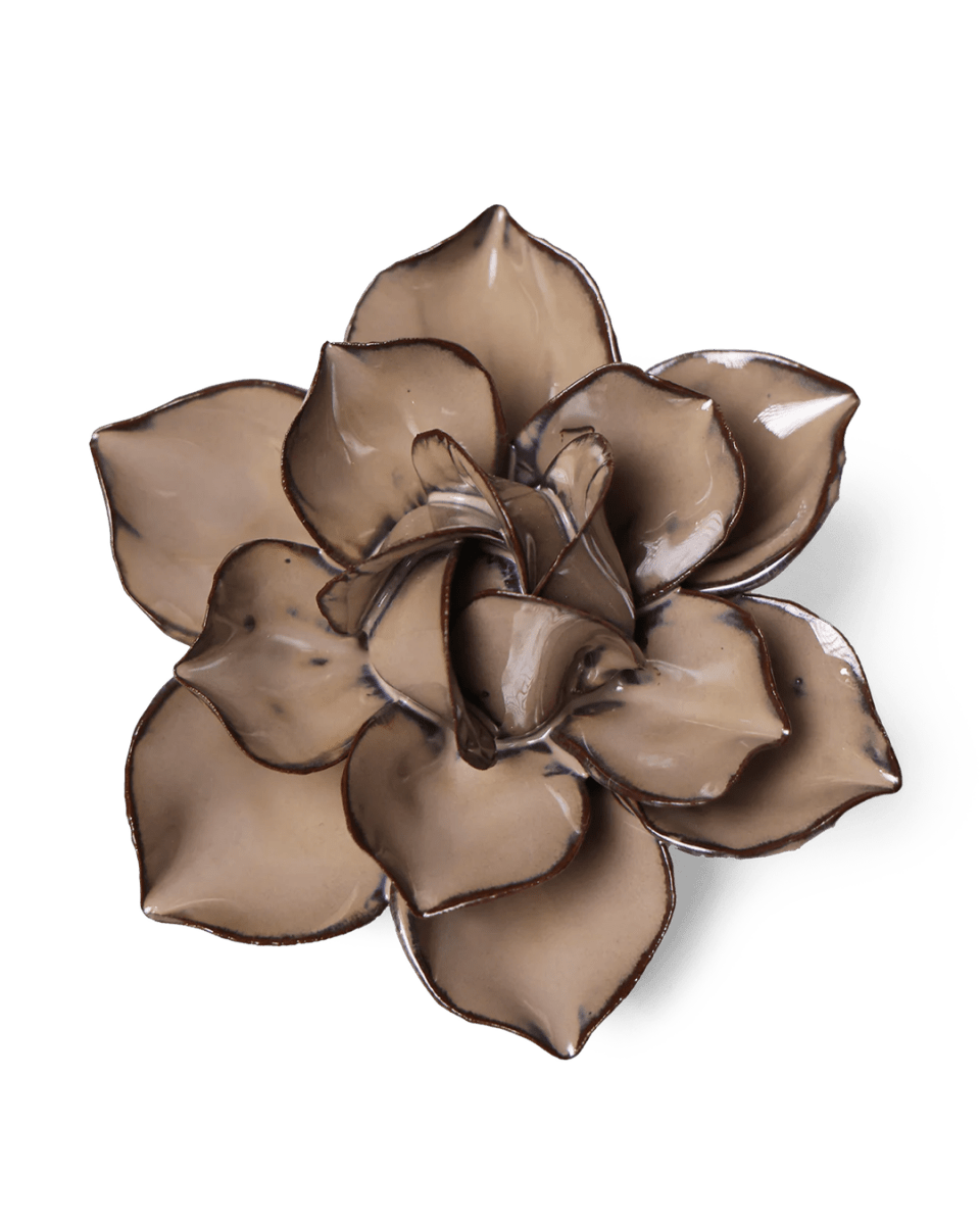 JA18 Latte Daffodil - Chive UK Wholesale