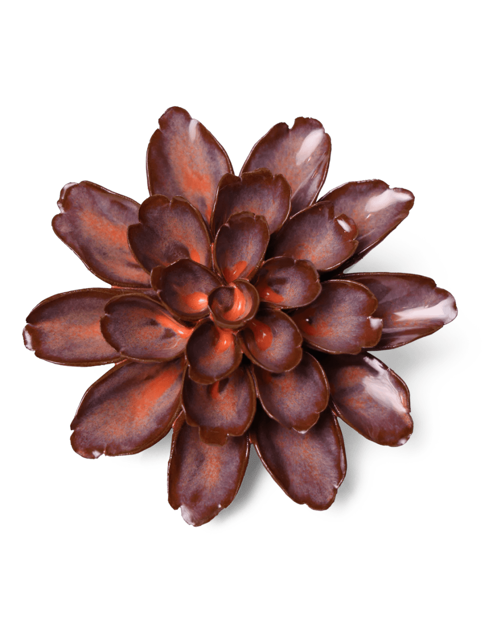 JA19 Peach Mocha Cornflower - Chive UK Wholesale