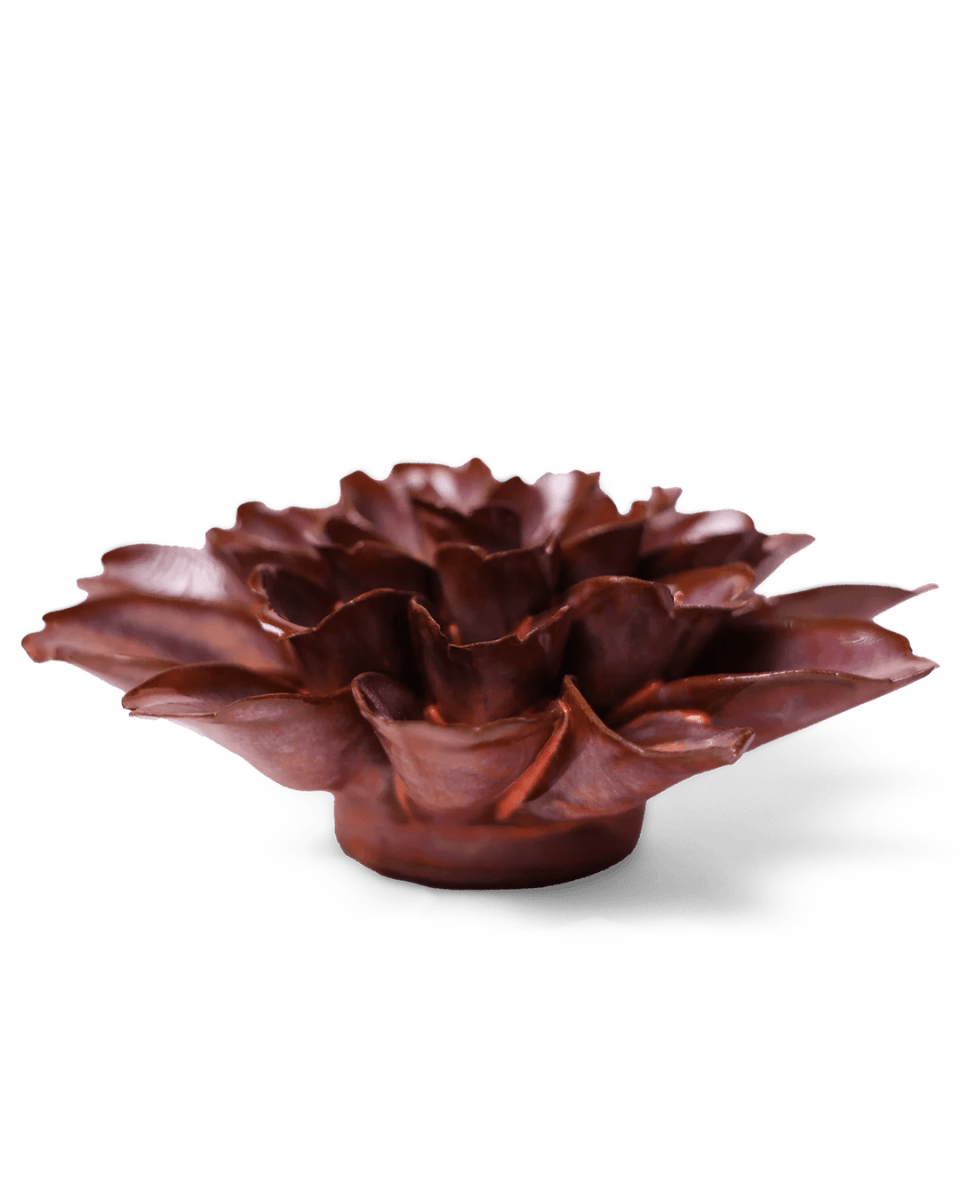 JA19 Peach Mocha Cornflower - Chive UK Wholesale