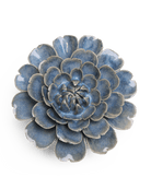 JA21 Fancy Blue Fiesta Marigold - Chive UK Wholesale