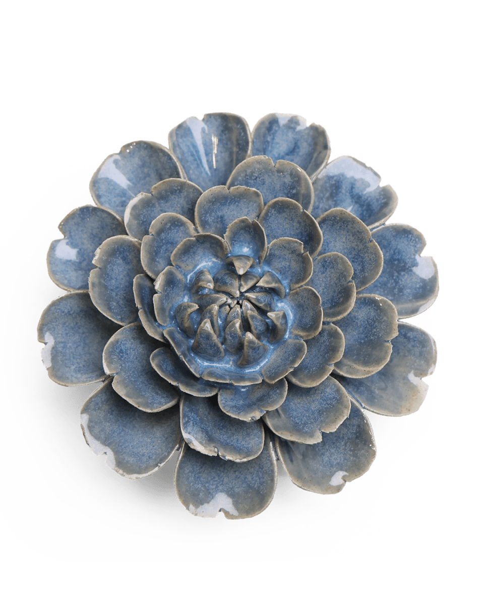 JA21 Fancy Blue Fiesta Marigold - Chive UK Wholesale