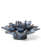 JA23 Seasonal Blue Frikartii Aster - Chive UK Wholesale