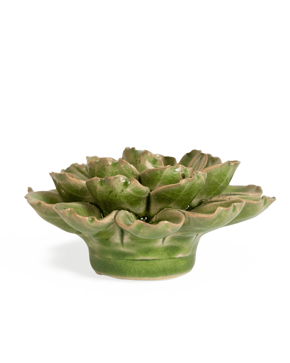JA24 Avocado Green Petunia - Chive UK Wholesale