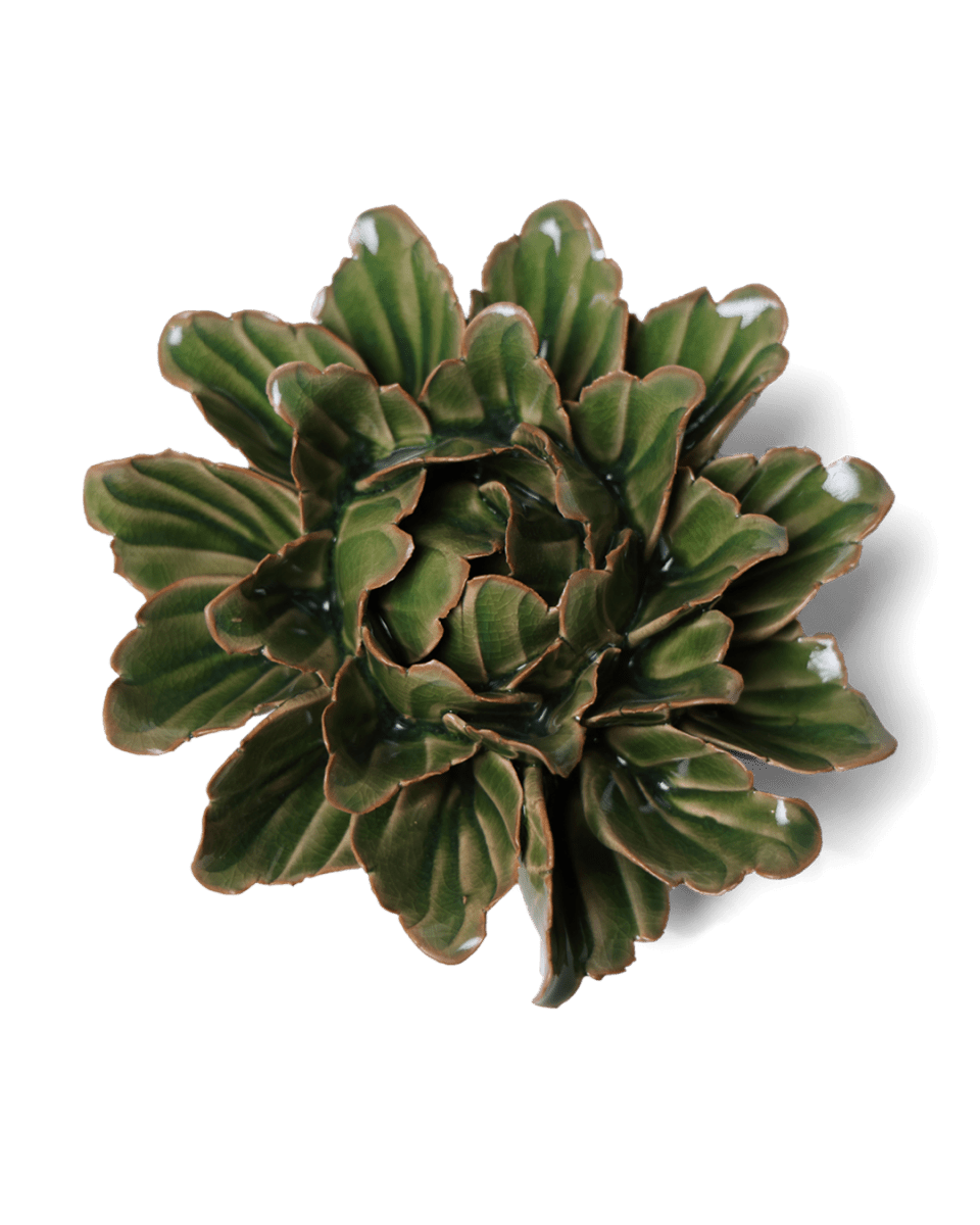 JA26 Avocado Green Sorbet Peony - Chive UK Wholesale