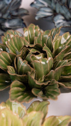 JA26 Avocado Green Sorbet Peony - Chive UK Wholesale