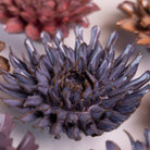 Ceramic Flower Japan Curated Collection #6 - Chive UK Wholesale