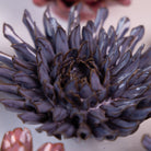 Ceramic Flower Japan Curated Collection #17 - Chive UK Wholesale