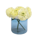 Jar Glass Modern Flower Vase - Chive UK Wholesale