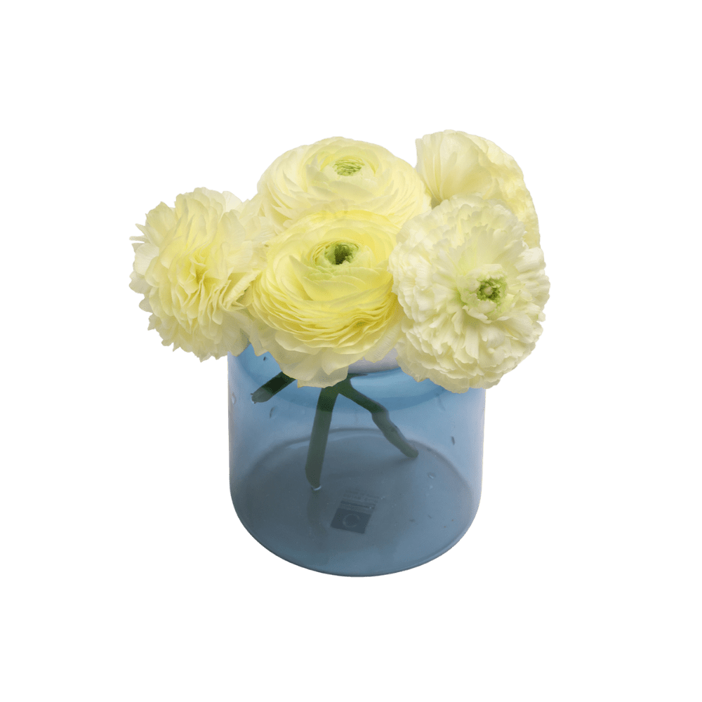 Jar Glass Modern Flower Vase - Chive UK Wholesale