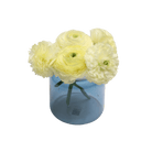 Jar Glass Modern Flower Vase - Chive UK Wholesale