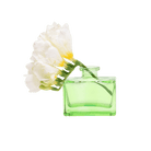 Loft Glass Vintage Bud Vases For Weddings - Chive UK Wholesale