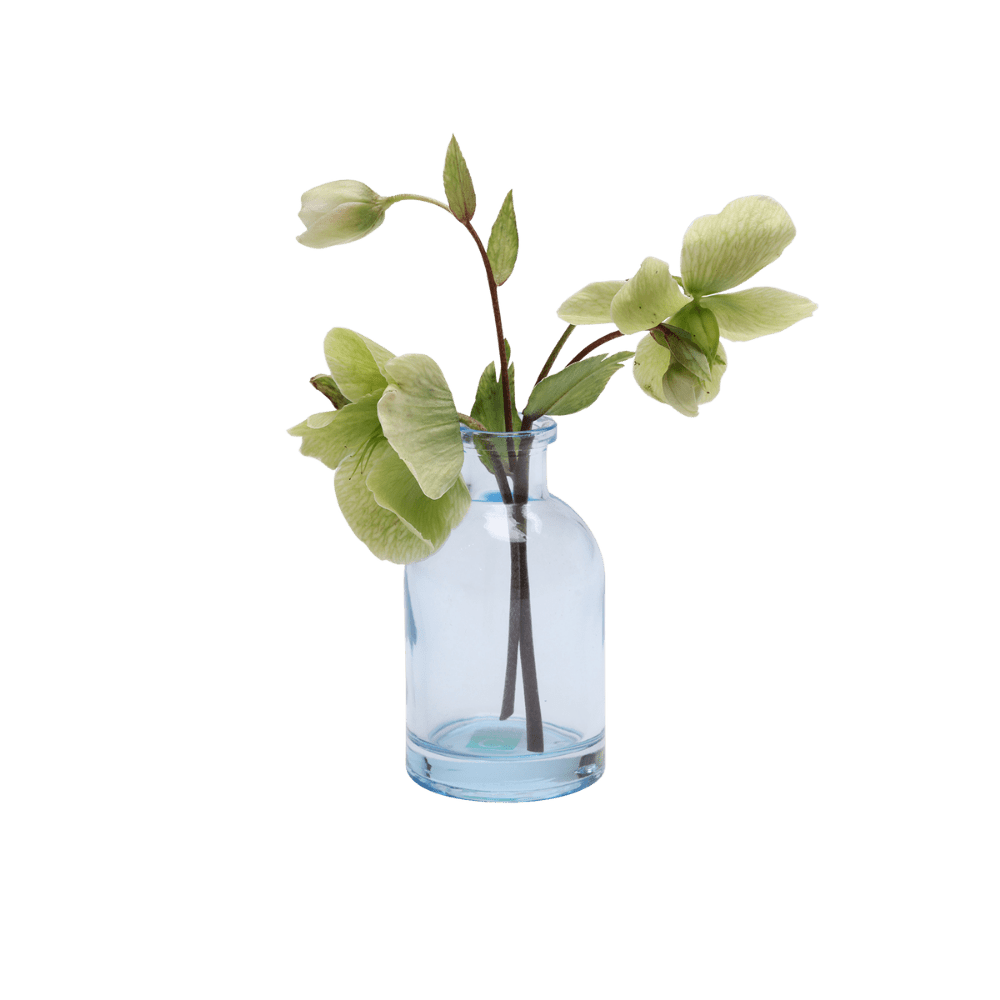 Loft Glass Vintage Bud Vases For Weddings - Chive UK Wholesale