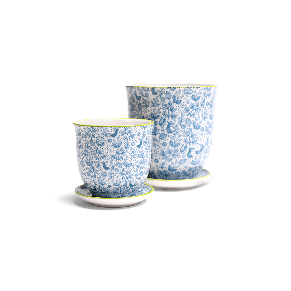 Liberte Porcelain Pot And Saucer Set With Drainage - Chive UK Wholesale