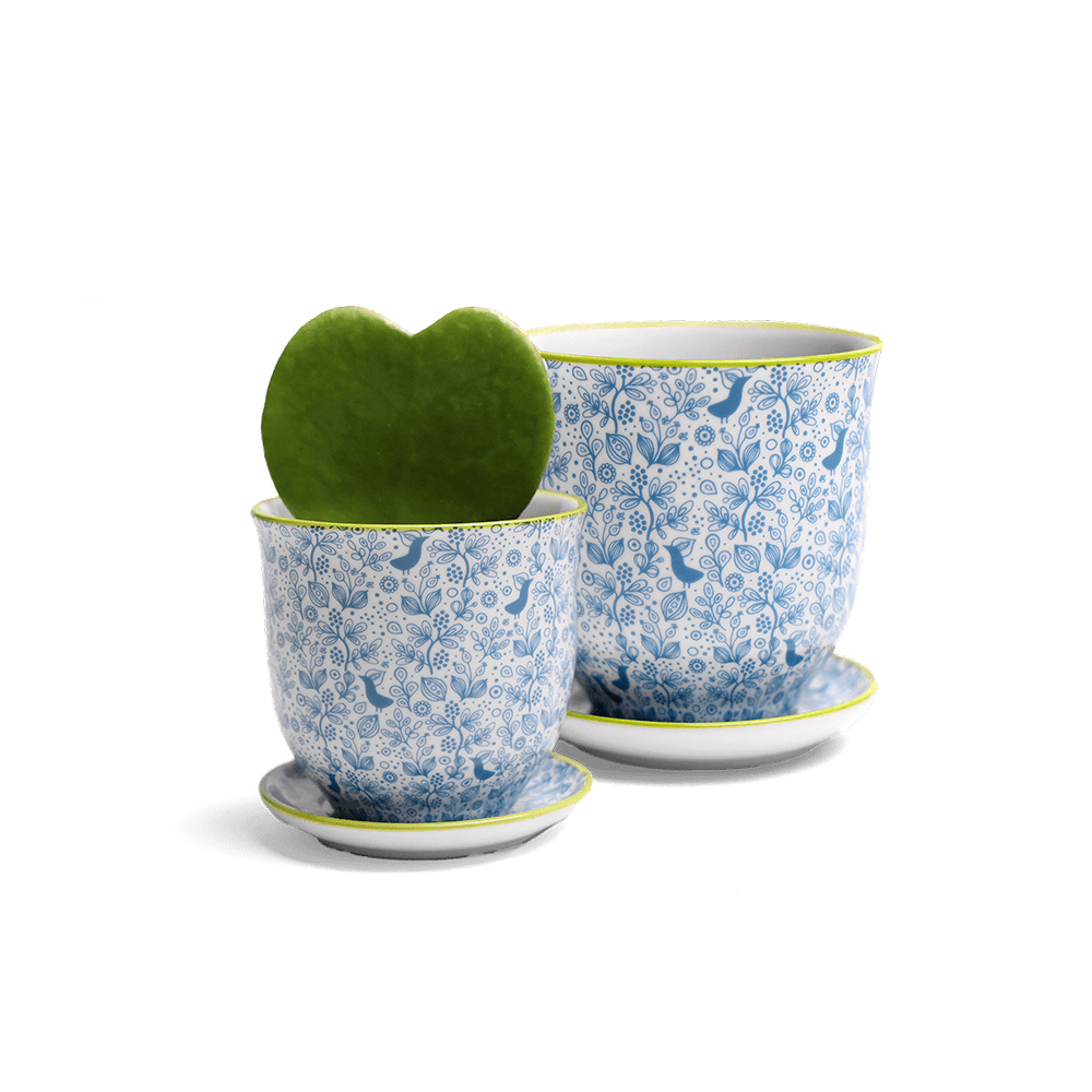 Liberte Porcelain Pot And Saucer Set With Drainage - Chive UK Wholesale