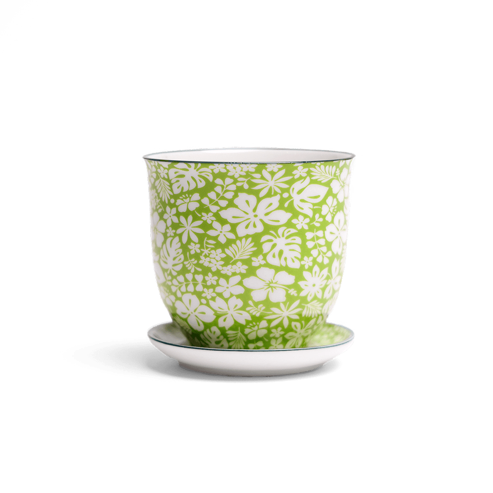 Liberte Porcelain Pot And Saucer Set With Drainage - Chive UK Wholesale