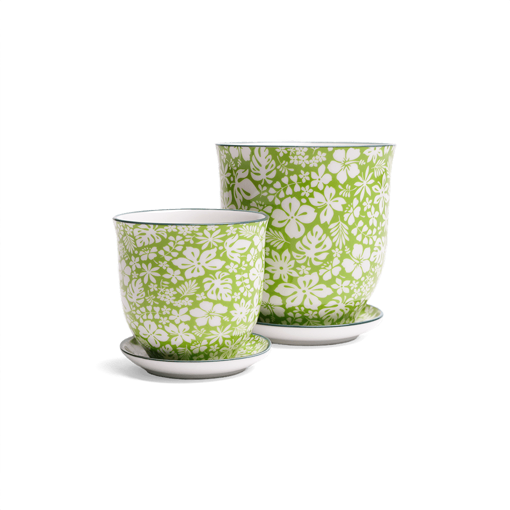 Liberte Porcelain Pot And Saucer Set With Drainage - Chive UK Wholesale