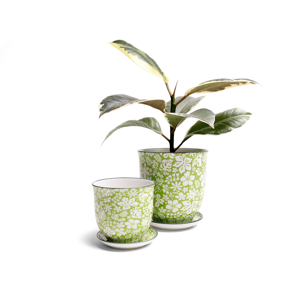 Liberte Porcelain Pot And Saucer Set With Drainage - Chive UK Wholesale