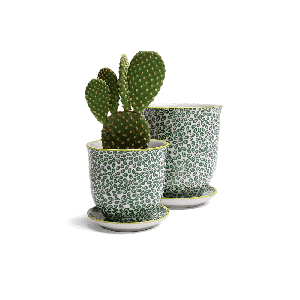 Liberte Porcelain Pot And Saucer Set With Drainage - Chive UK Wholesale