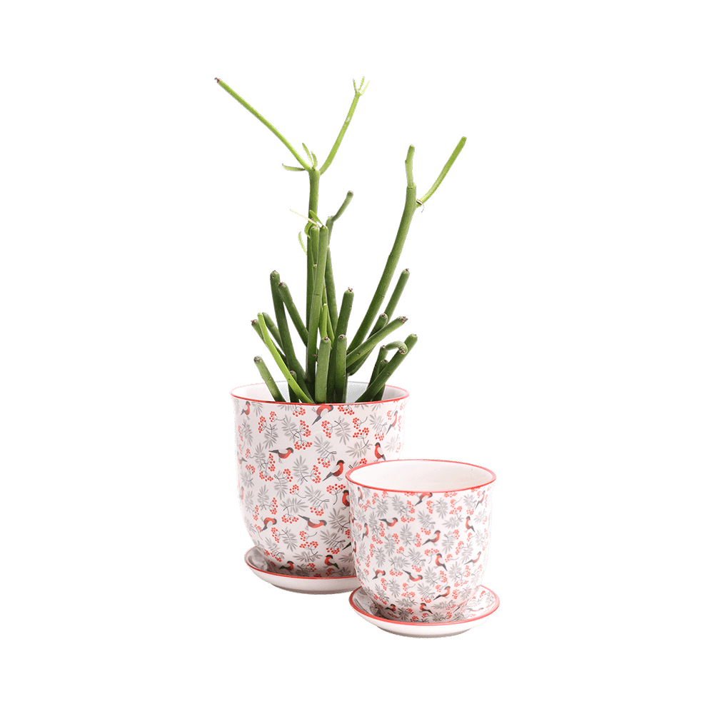 Liberte Porcelain Pot And Saucer Set With Drainage - Chive UK Wholesale