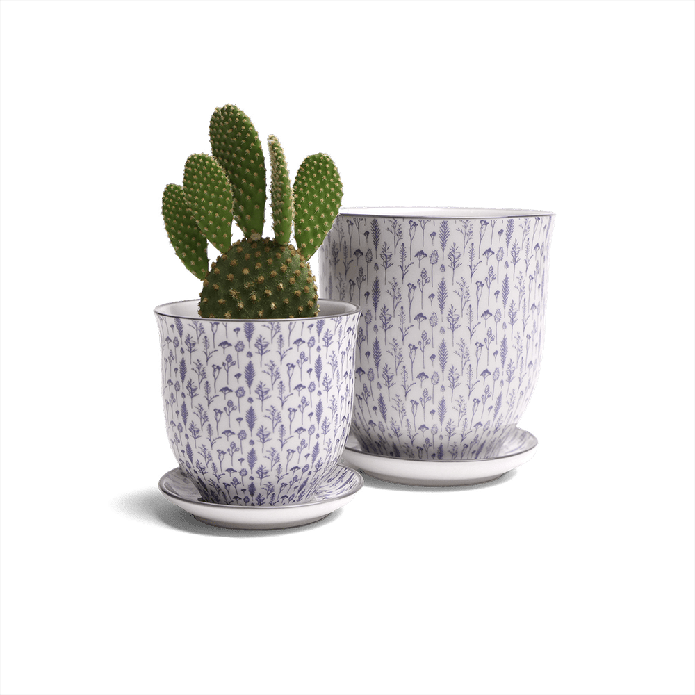 Liberte Porcelain Pot And Saucer Set With Drainage - Chive UK Wholesale