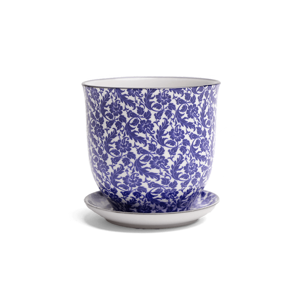 Liberte Porcelain Pot And Saucer Set With Drainage - Chive UK Wholesale