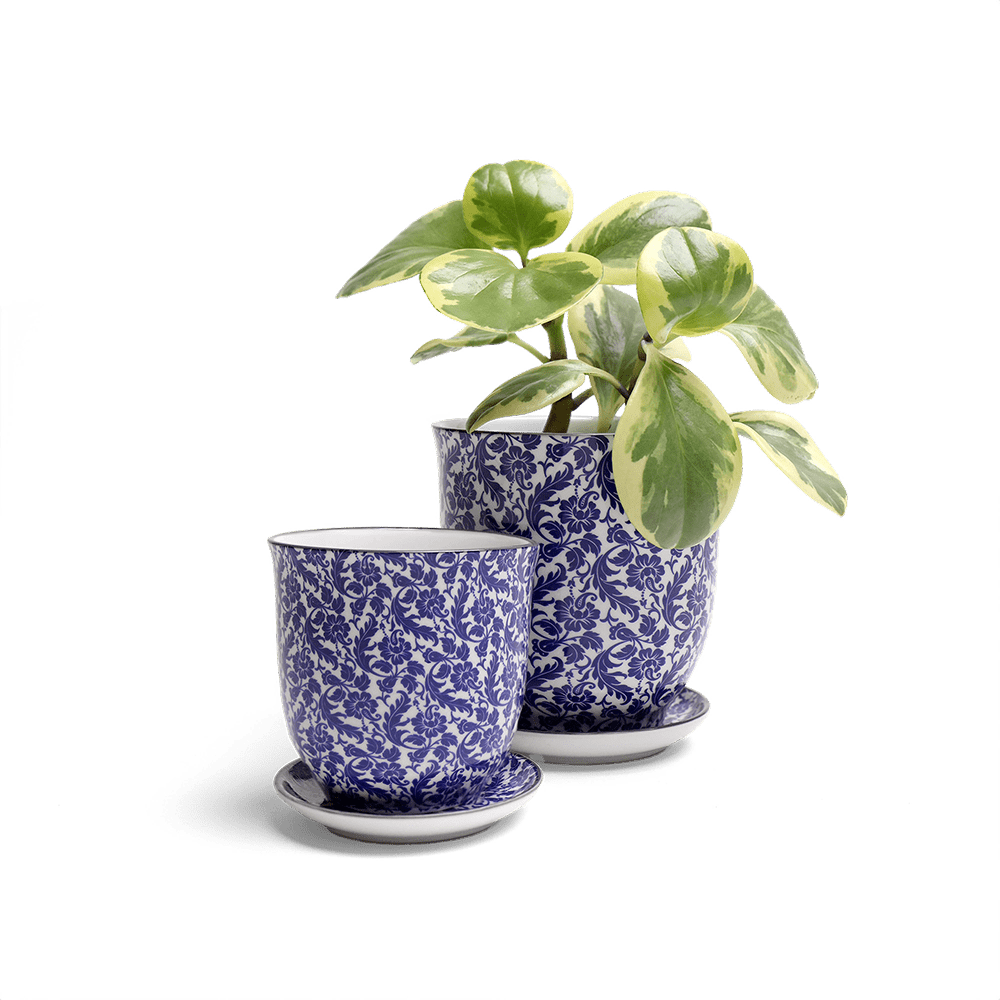 Liberte Porcelain Pot And Saucer Set With Drainage - Chive UK Wholesale