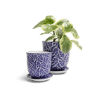 Liberte Porcelain Pot And Saucer Set With Drainage - Chive UK Wholesale