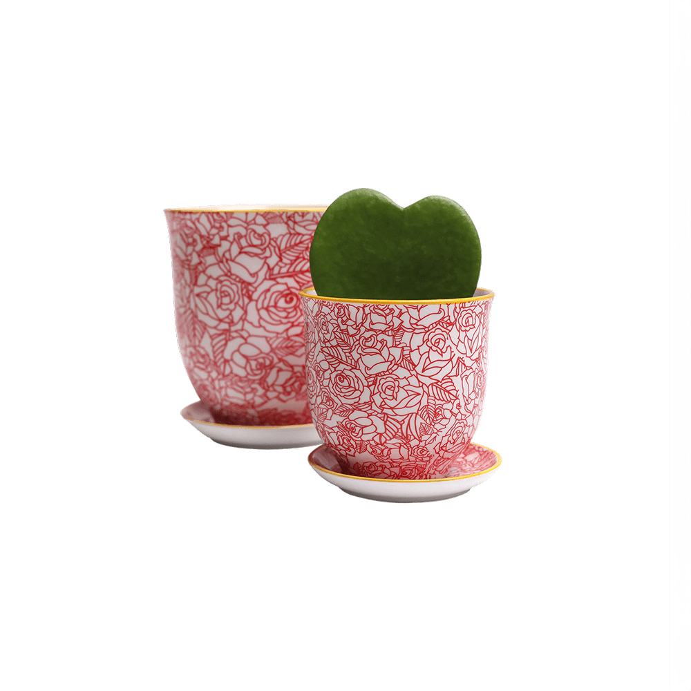 Liberte Porcelain Pot And Saucer Set With Drainage - Chive UK Wholesale