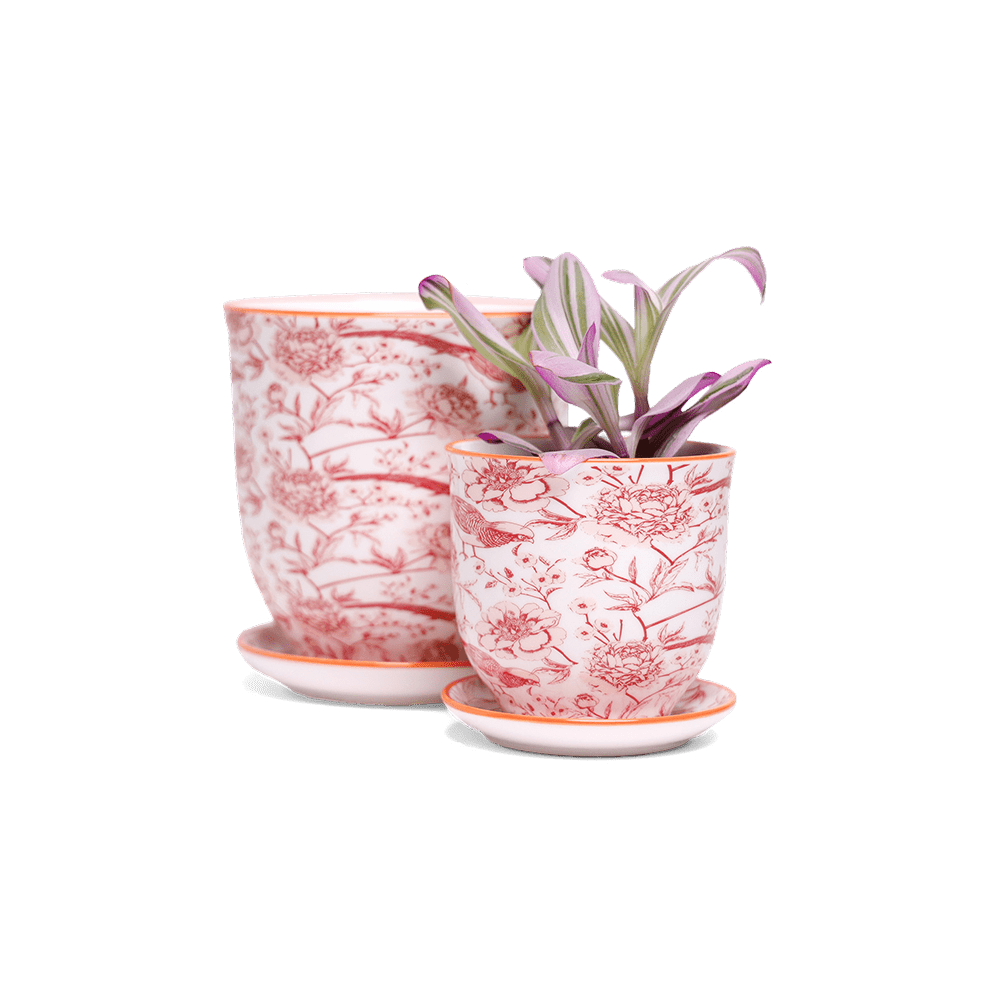 Liberte 5 Porcelain Pot And Saucer With Drainage - Chive UK Wholesale