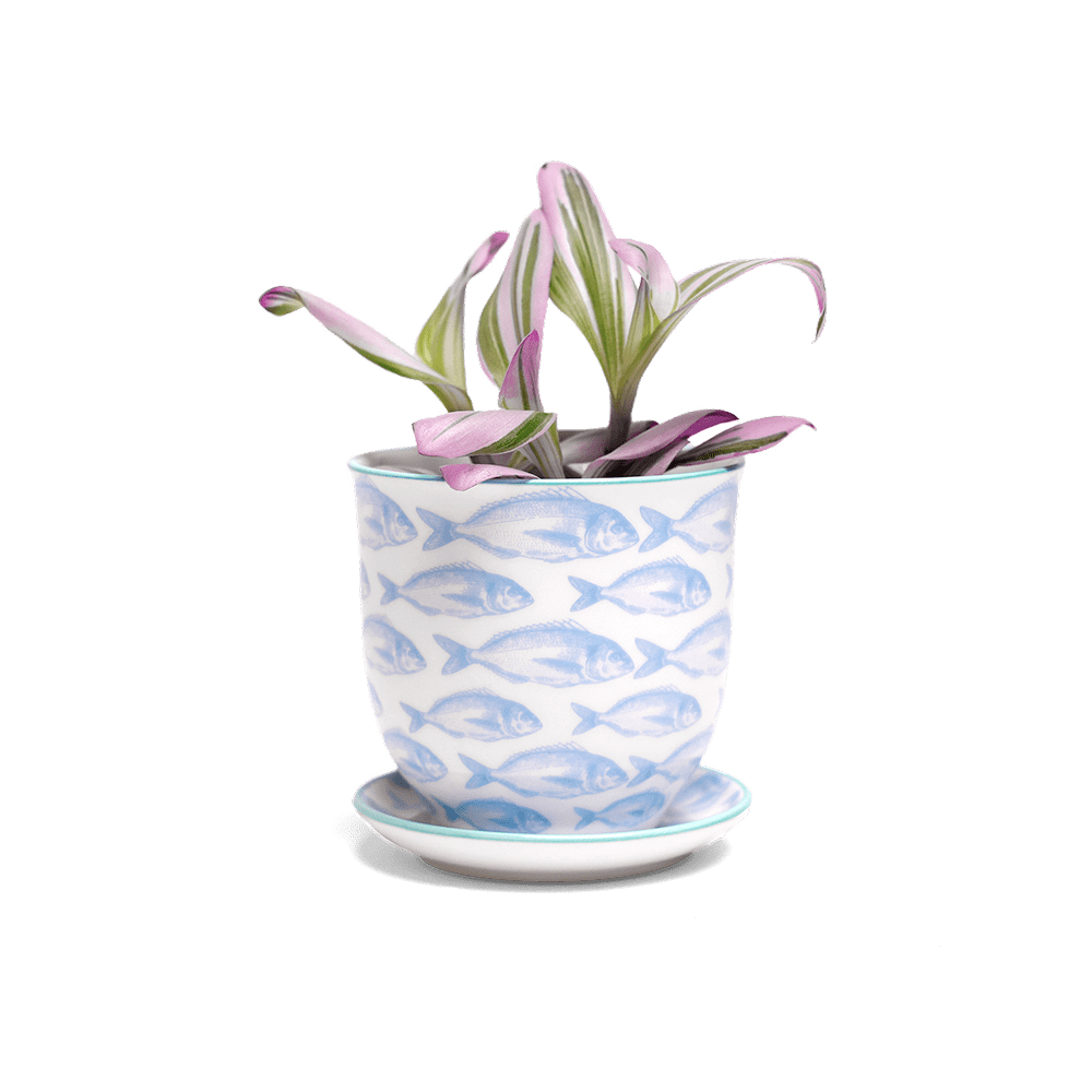 Liberte 5 Porcelain Pot And Saucer With Drainage - Chive UK Wholesale