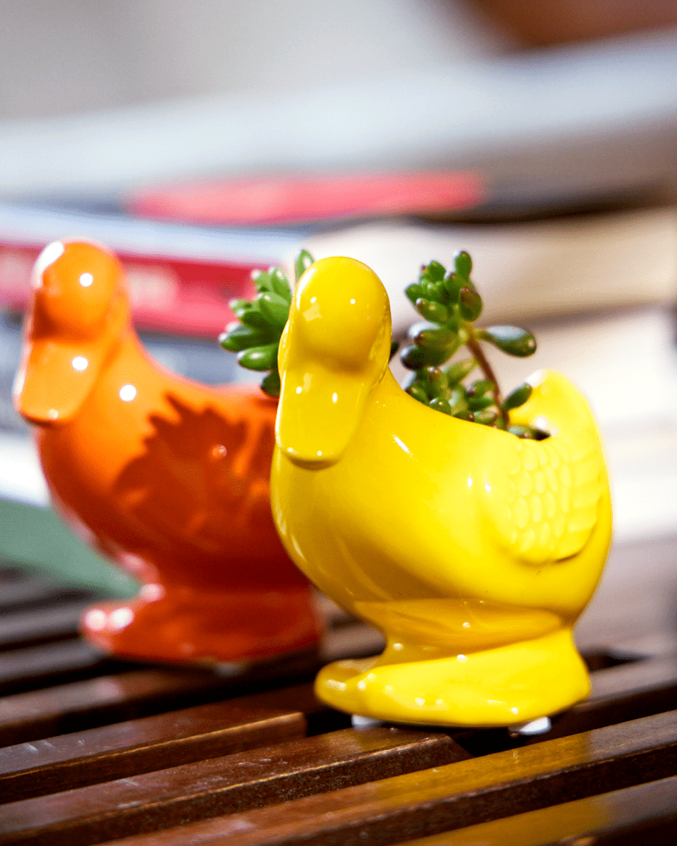 Duck Ceramic Indoor Plant Pot For Succulents - Chive UK Wholesale