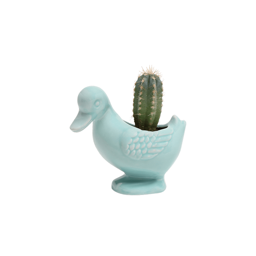 Duck Ceramic Indoor Plant Pot For Succulents - Chive UK Wholesale