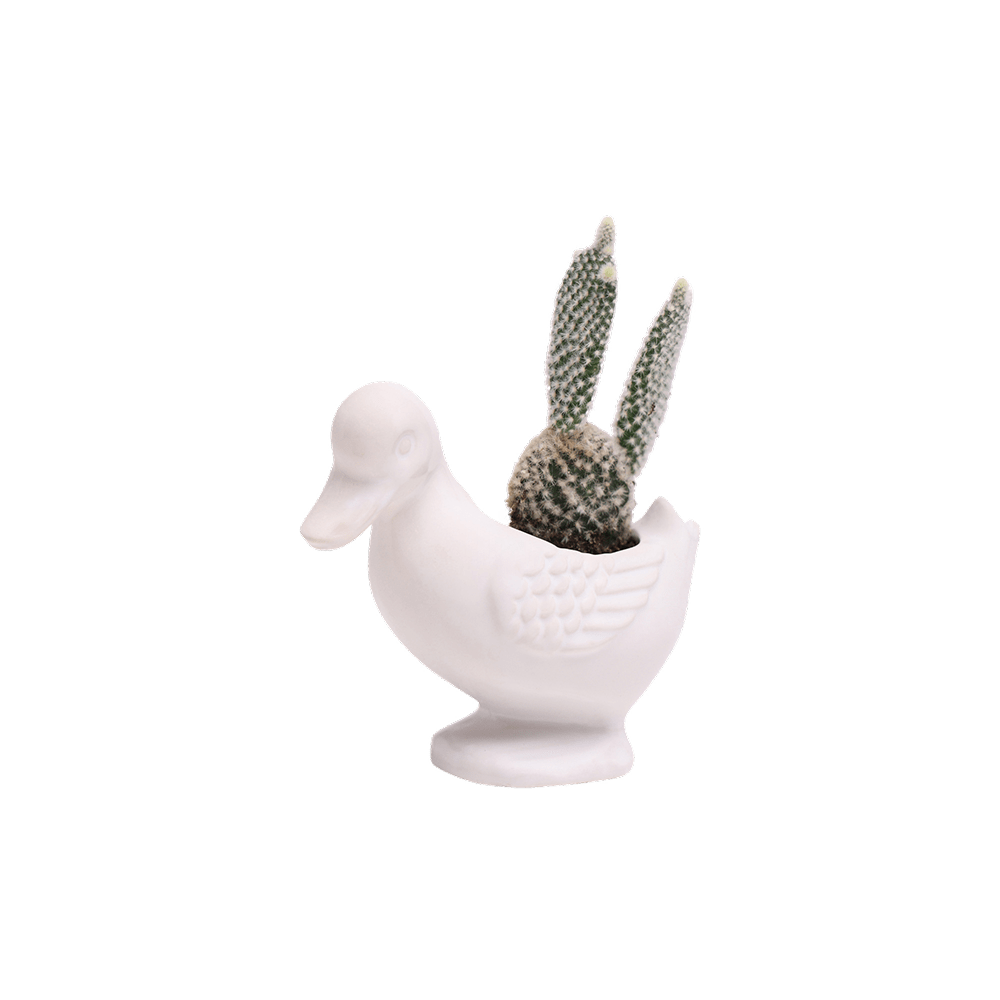 Duck Ceramic Indoor Plant Pot For Succulents - Chive UK Wholesale