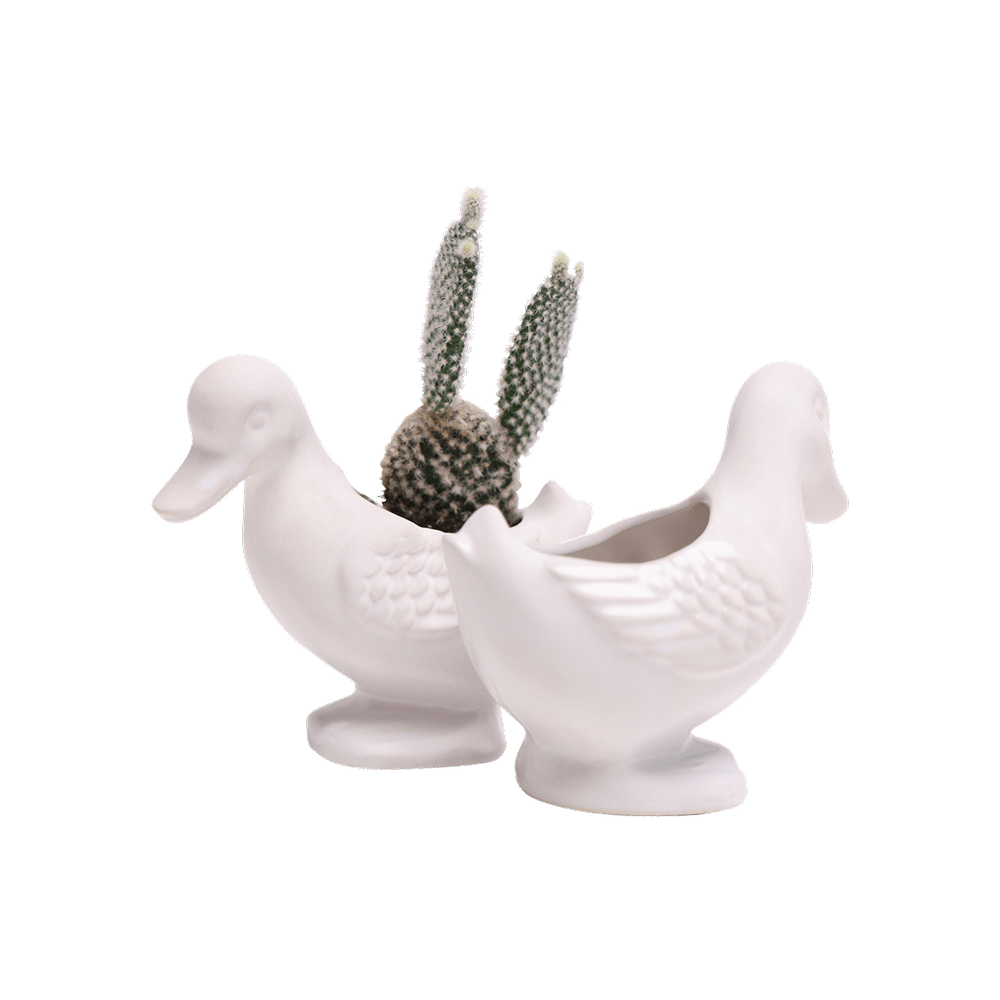 Duck Ceramic Indoor Plant Pot For Succulents - Chive UK Wholesale