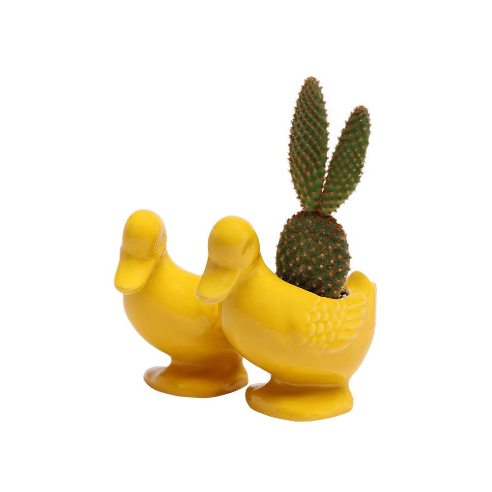 Duck Ceramic Indoor Plant Pot For Succulents - Chive UK Wholesale