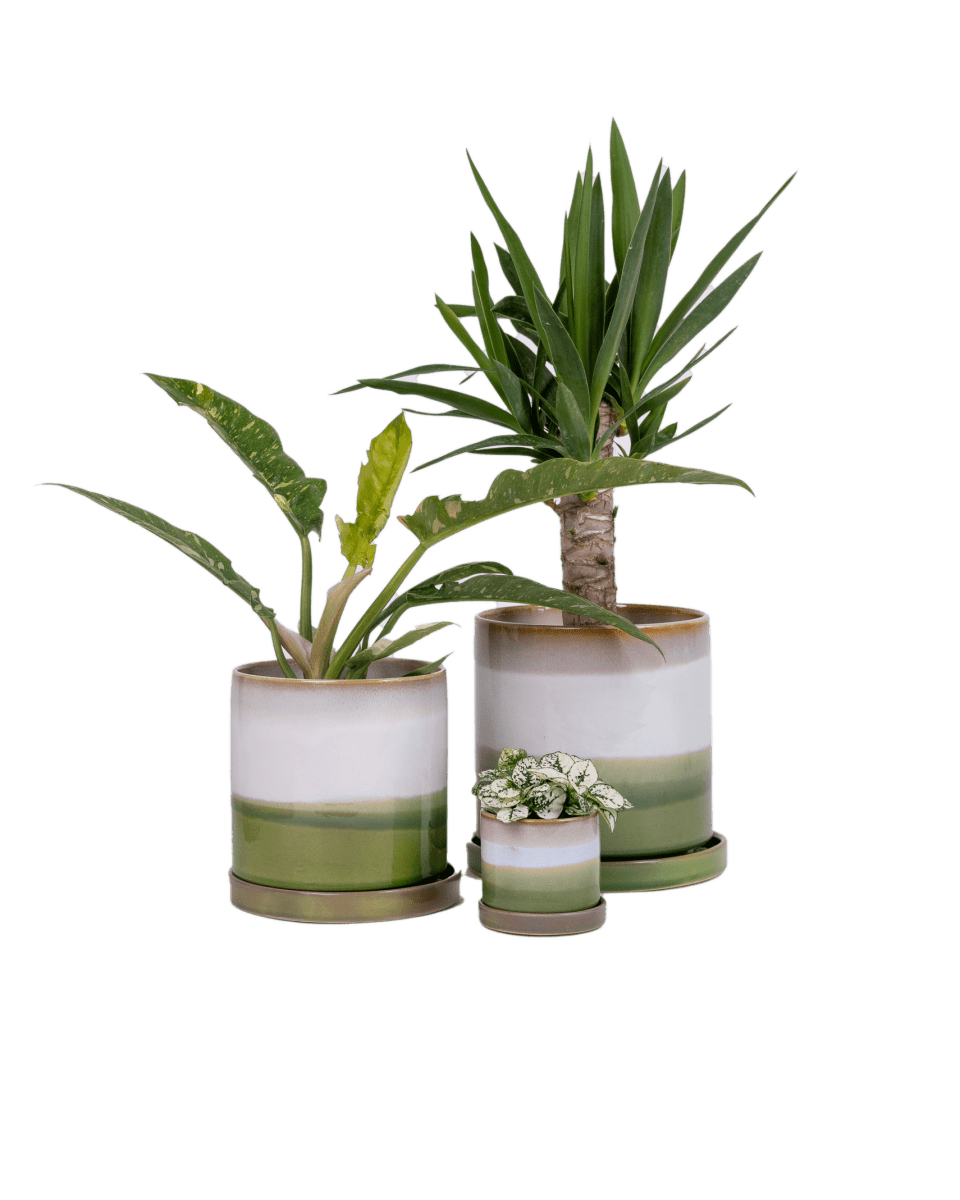 Minute Ceramic Pot And Saucer Set With Drainage - Chive UK Wholesale