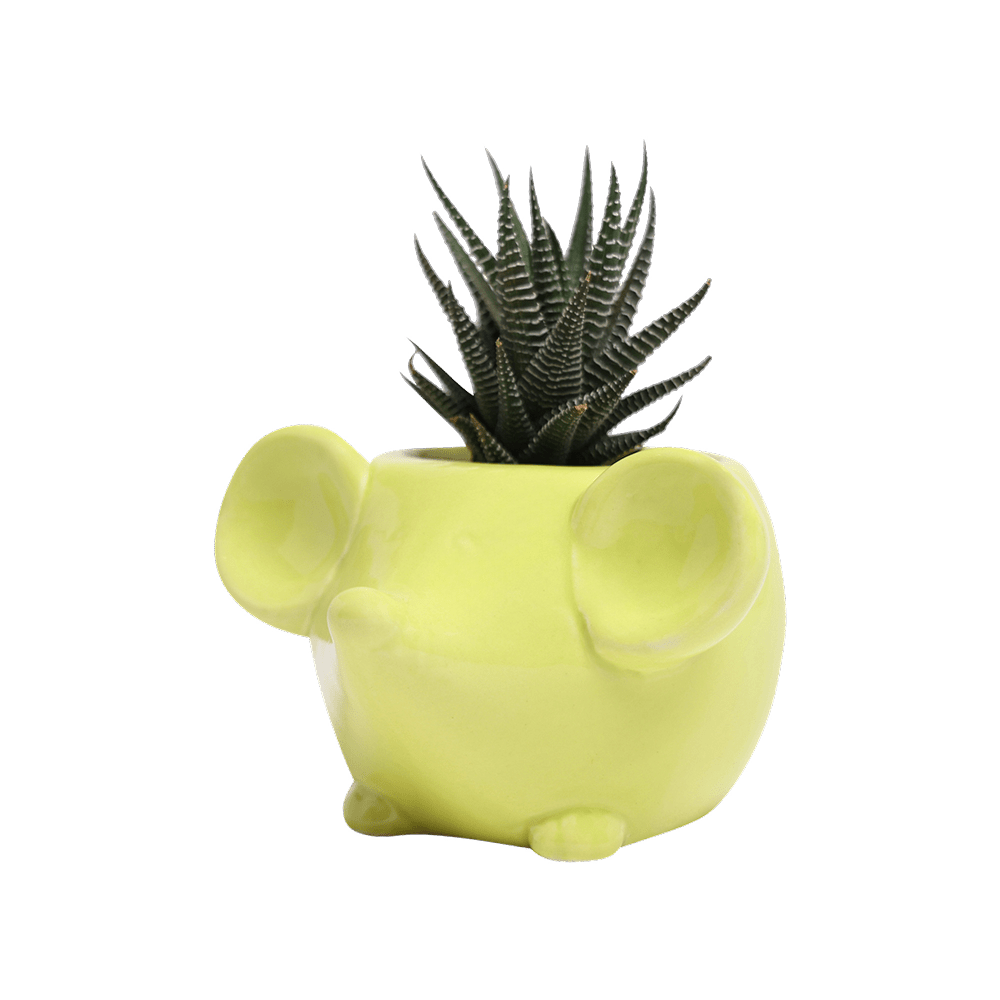 Mouse Ceramic Indoor Plant Pot For Succulents - Chive UK Wholesale