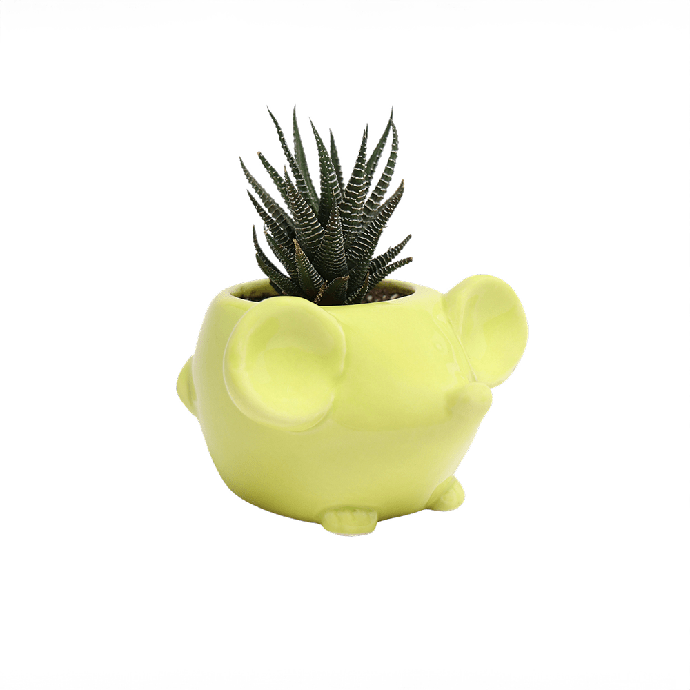 Mouse Ceramic Indoor Plant Pot For Succulents - Chive UK Wholesale