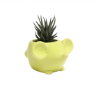 Mouse Ceramic Indoor Plant Pot For Succulents - Chive UK Wholesale