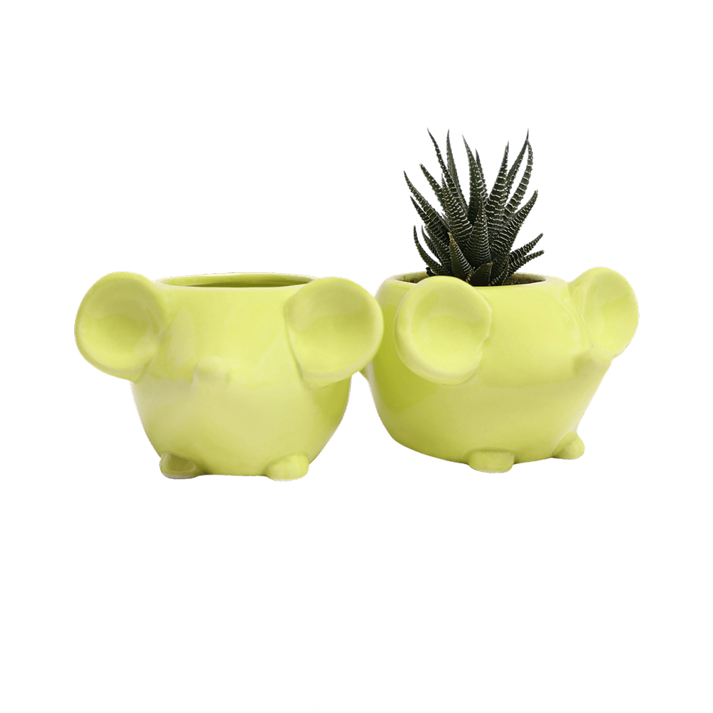 Mouse Ceramic Indoor Plant Pot For Succulents - Chive UK Wholesale