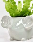 Mouse Ceramic Indoor Plant Pot For Succulents - Chive UK Wholesale