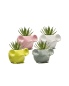 Mouse Ceramic Indoor Plant Pot Kit - Chive UK Wholesale